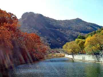 正版澳门天天开彩大全，山东蓝翔挖掘机学校